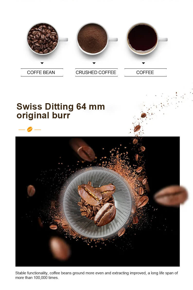 Molinillo de muelas original Swiss Ditting de 64 mm en la cafetera TCN para una molienda uniforme y una vida útil de más de 100,000 ciclos.